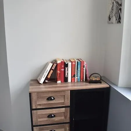 Rdc Au Coeur Du Village Appartement Soual